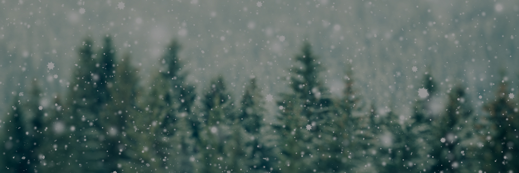 Coniferous tress blurred with snowflakes falling